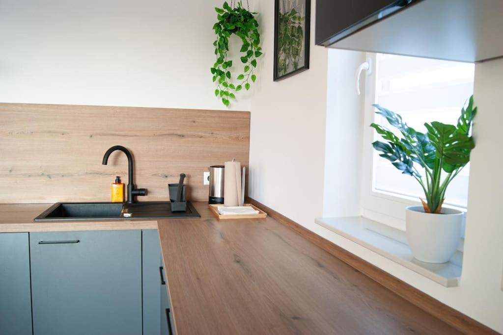 Studio Apartment Marbach Marbach am Neckar Exteriér fotografie